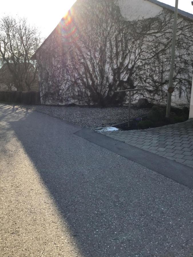 Ferienwohnung Heigemeir Ehekirchen エクステリア 写真
